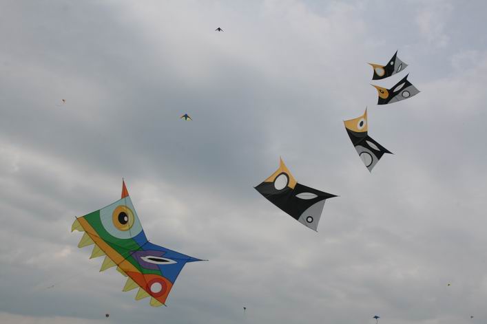 Basingstoke Kite Festival - 10bas05img016.jpg