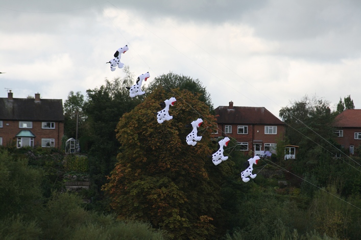 Chester Kite Festival - 17-18 September 2011 - 11che18img037.jpg