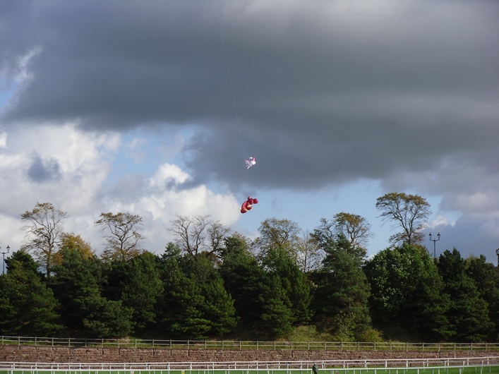 Chester Kite Festival - 17-18 September 2011 - 11che18img050.jpg