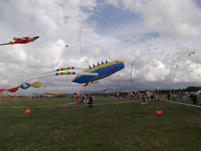 Frejus Kite Festival, France: 30-31 October 2010 - 10fre02img026.jpg