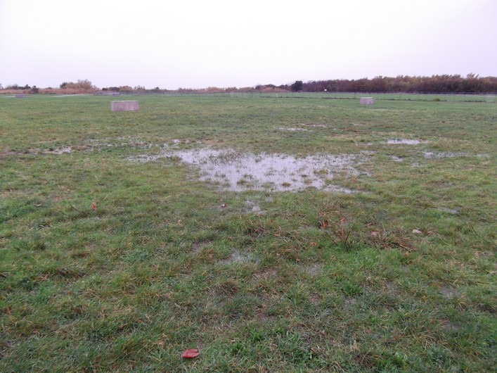 Frejus Kite Festival, France: 30-31 October 2010 - 10fre04img012.jpg