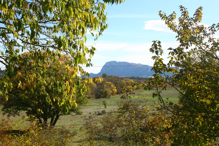 Frejus Kite Festival, France: 30-31 October 2010 - 10fre05img008.jpg