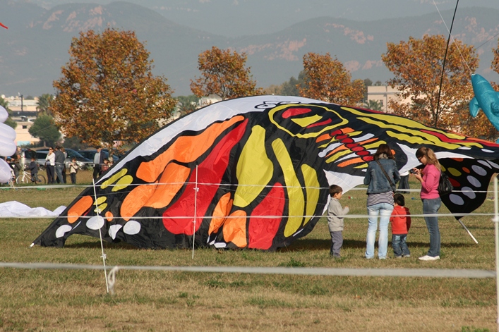 Frejus Kite Festival - France, 29-30 October 2011 - 11fre03img036.jpg