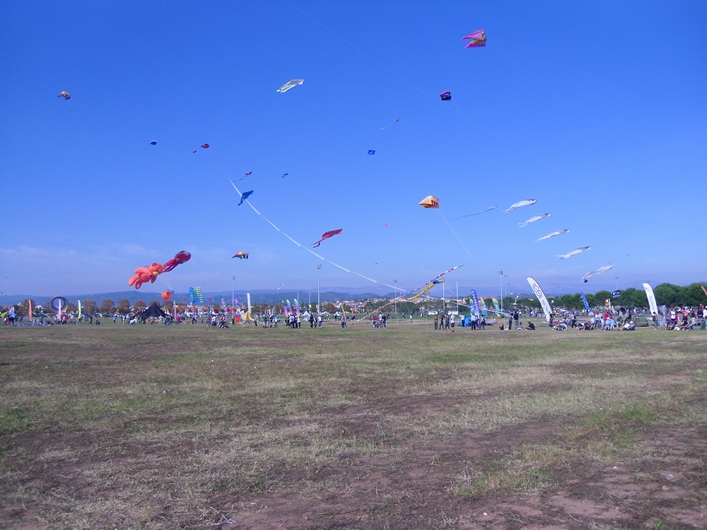 Frejus Kite Festival - France, 29-30 October 2011 - 11fre03img124.jpg