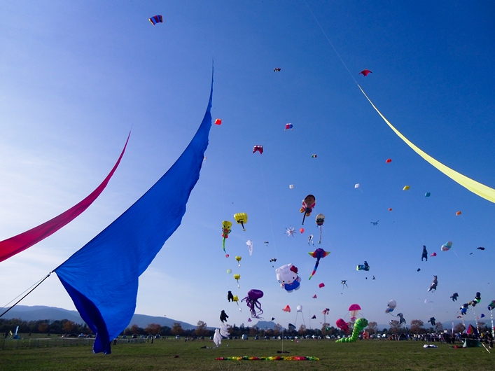 Frejus Kite Festival - France, 29-30 October 2011 - 11fre03img144.jpg