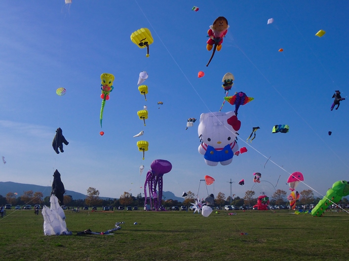 Frejus Kite Festival - France, 29-30 October 2011 - 11fre03img149.jpg