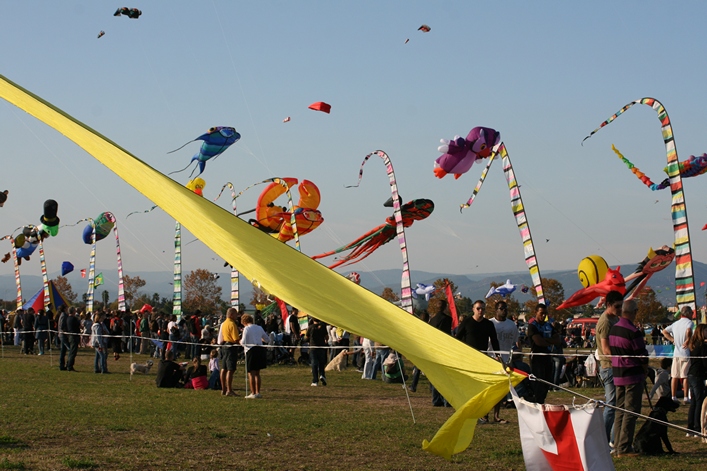 Frejus Kite Festival - France, 29-30 October 2011 - 11fre03img153.jpg