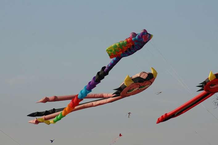 Frejus Kite Festival - France, 29-30 October 2011 - 11fre03img160.jpg