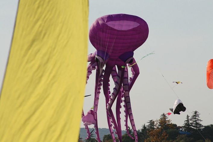 Frejus Kite Festival - France, 29-30 October 2011 - 11fre03img162.jpg