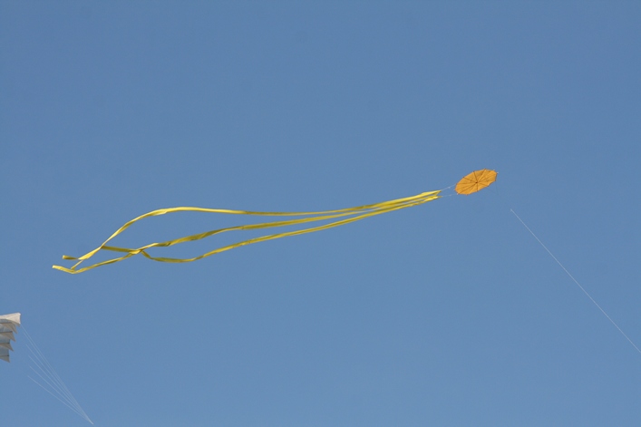 Frejus Kite Festival - France, 29-30 October 2011 - 11fre03img166.jpg