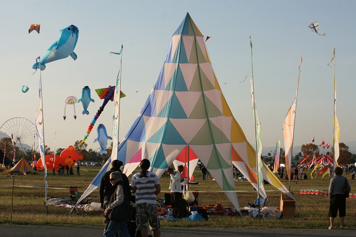 Frejus Kite Festival - France, 29-30 October 2011 - 11fre03img225.jpg