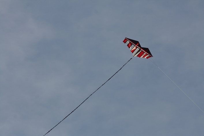 Frejus Kite Festival - France, 29-30 October 2011 - 11fre03img229.jpg