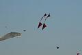 Frejus Kite Festival - France, 29-30 October 2011 - 11fre03img155.jpg