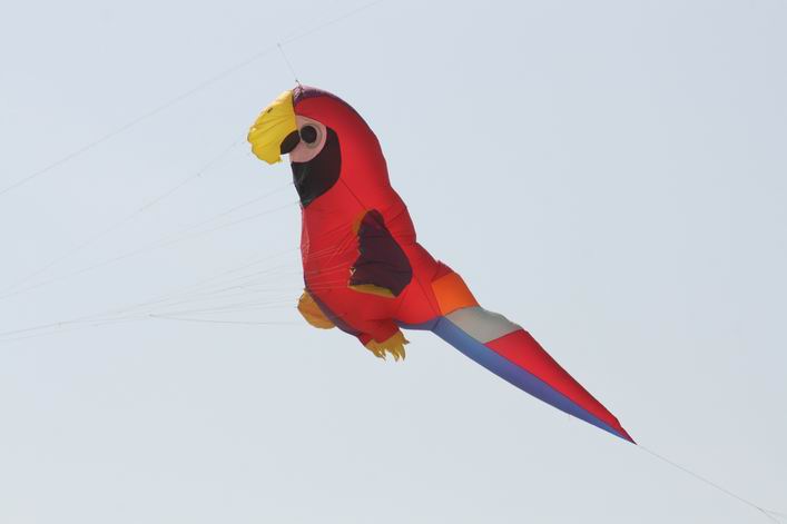 Grmetz 2009 - 09gro11img031.jpg