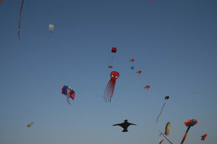 Kappad Beach, Calicut, Kerala, India - 10ker04img120.jpg