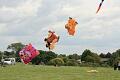 Malmesbury Kite Festival, 23-24 July, 2011 - 11mal23img048.jpg