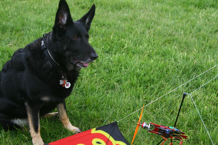 Margam Country Park, Wales, 3-4 June 2012 - 12mgm04img020.jpg