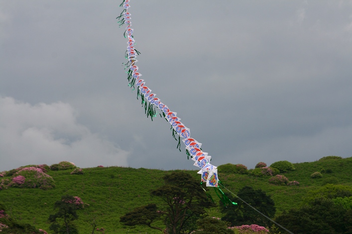 Margam Country Park, Wales, 3-4 June 2012 - 12mgm04img178.jpg