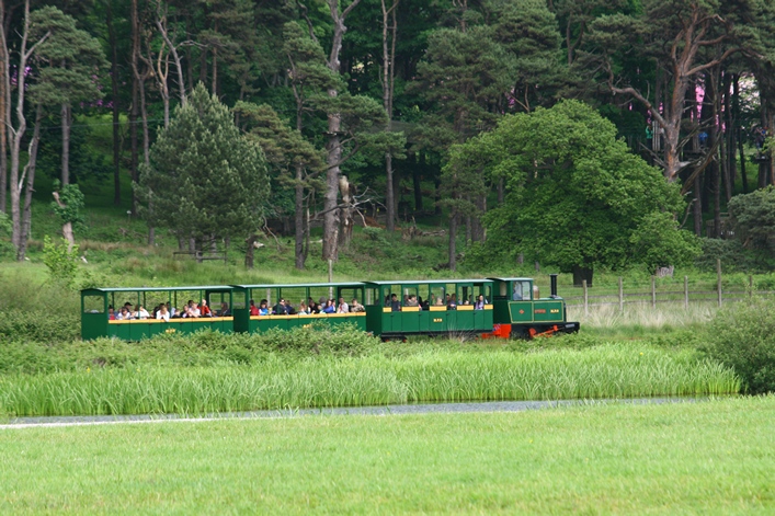 Margam Country Park, Wales, 3-4 June 2012 - 12mgm04img206.jpg