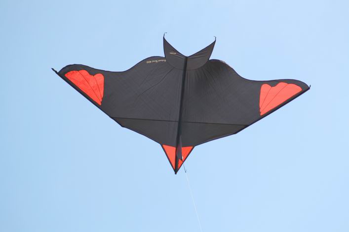 Margate 2008 - 08mar01img034.jpg