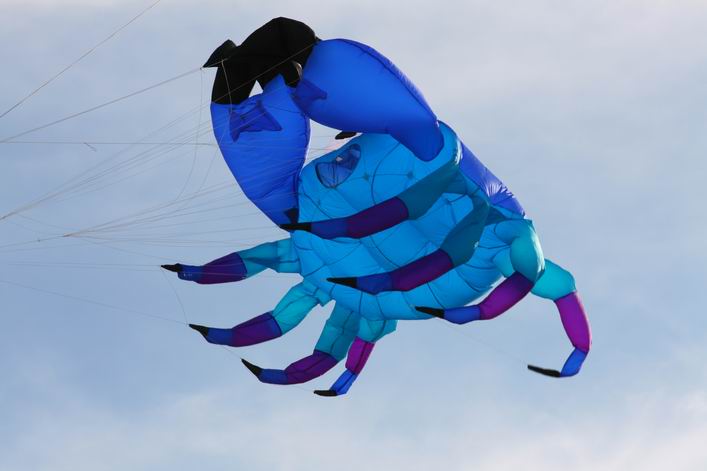 Margate 2008 - 08mar01img175.jpg