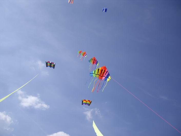 Margate 2008 - 08mar02img087.jpg