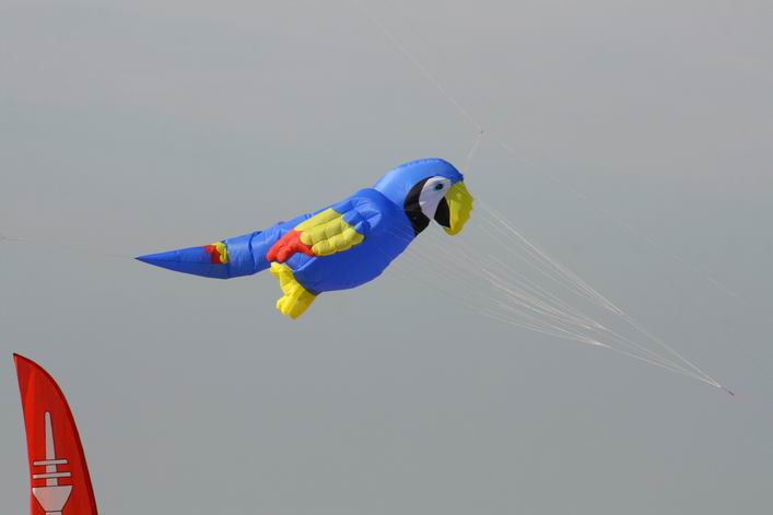 Margate 2008 - 08mar02img116.jpg