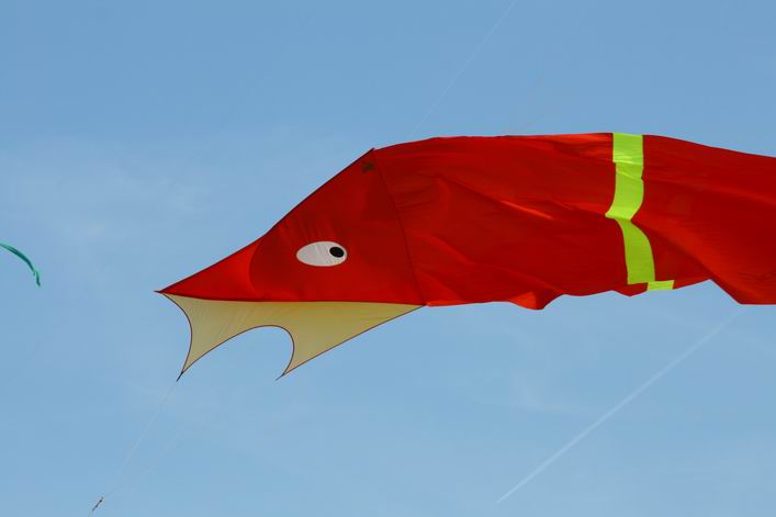 Margate 2008 - 08mar02img137.jpg