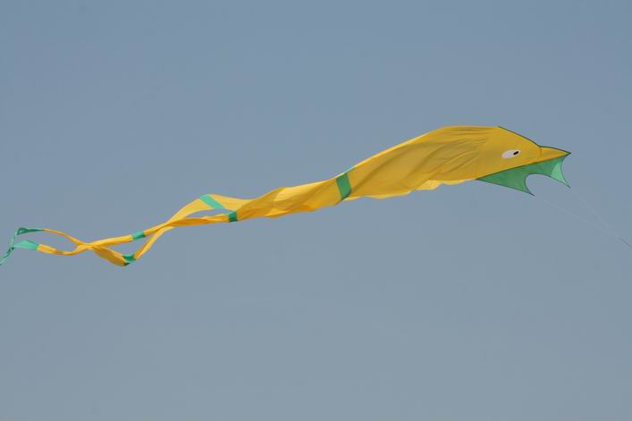 Margate 2009 - 09mar19img082.jpg