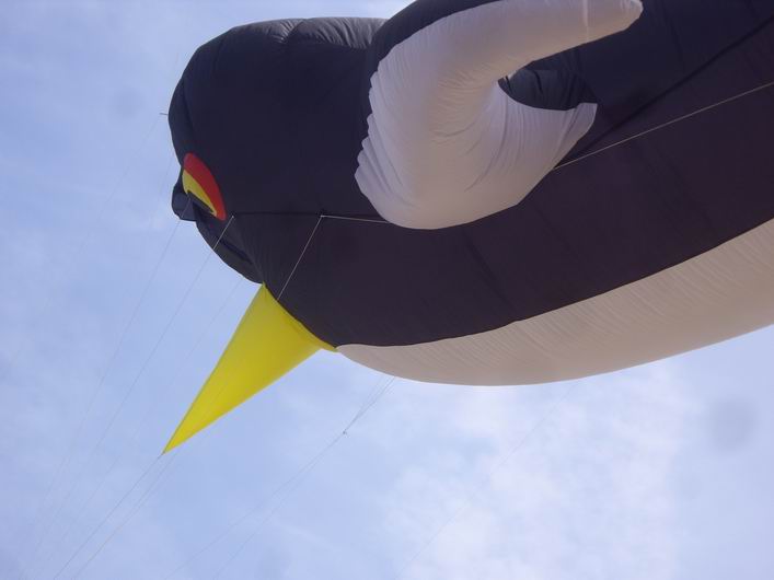 Margate 2009 - 09mar19img095.jpg