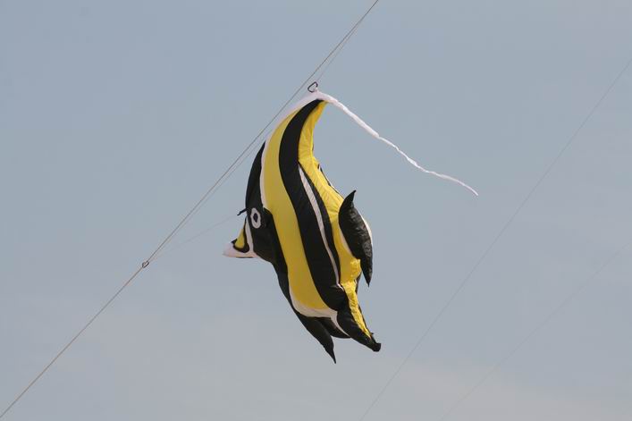 Margate 2009 - 09mar19img106.jpg