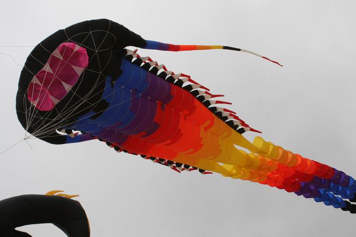 Margate 2009 - 09mar20img142.jpg