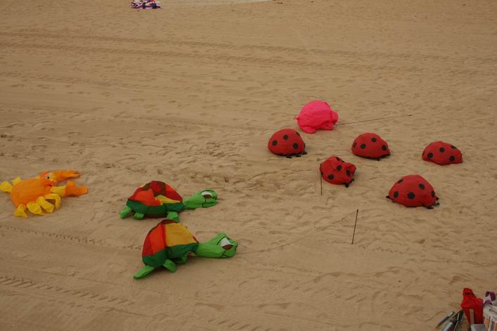 Notre Dame de Monts - 10not02img028.jpg