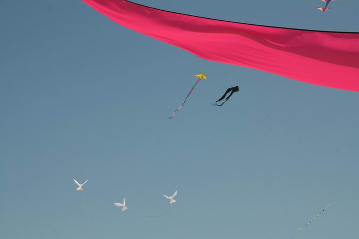 Notre Dame de Monts - 10not02img088.jpg