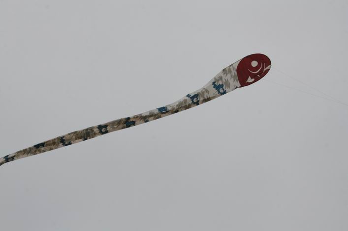 Notre Dame de Monts - 10not03img030.jpg