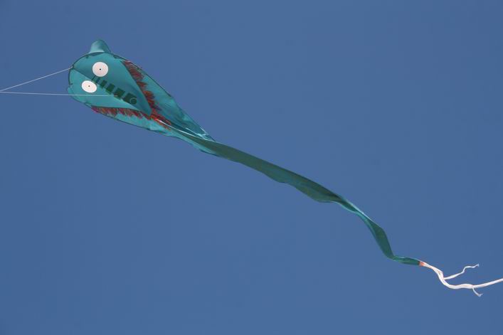 Notre Dame de Monts - 10not03img217.jpg