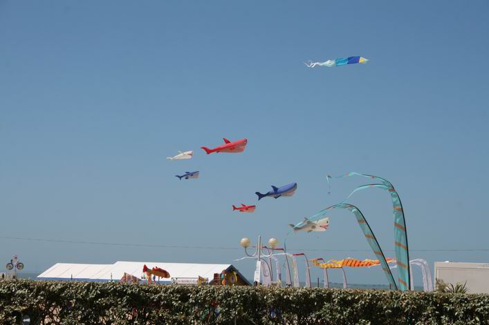 Notre Dame de Monts - 10not04img010.jpg