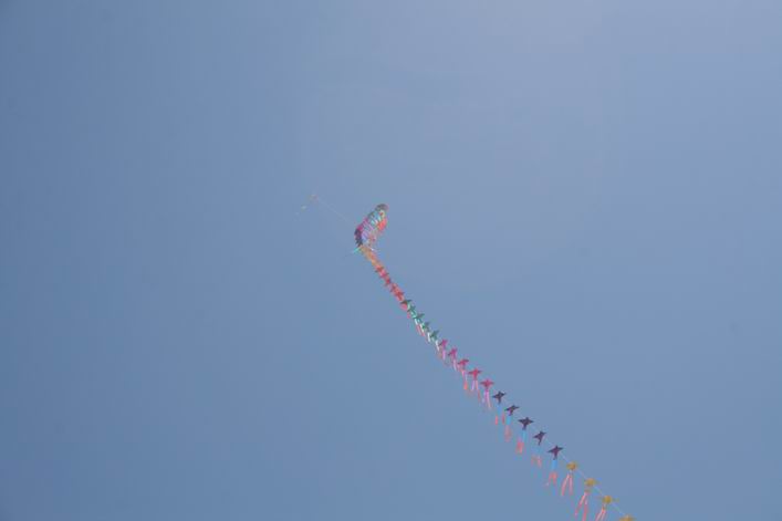 Notre Dame de Monts - 10not04img021.jpg