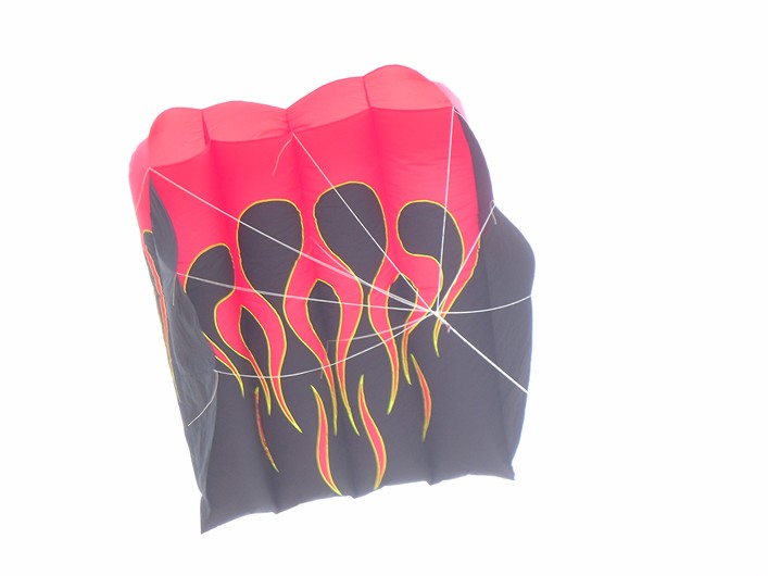 Notre Dame Kite Festival, France, 7-10 July 2011 - 11not08img022.jpg