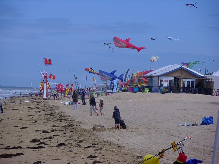 Notre Dame Kite Festival, France, 7-10 July 2011 - 11not08img028.jpg