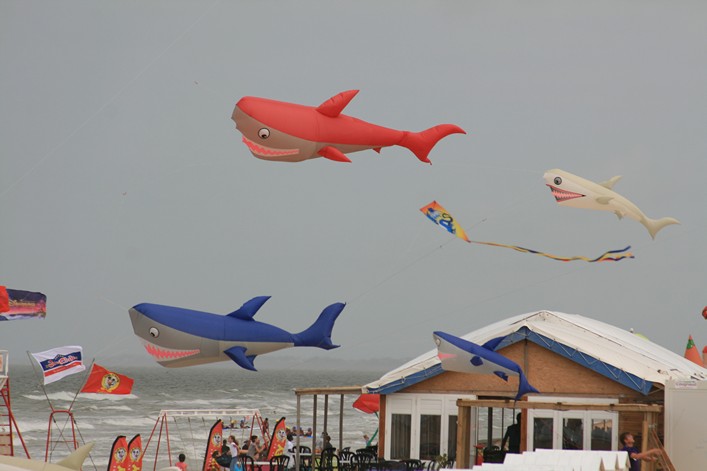 Notre Dame Kite Festival, France, 7-10 July 2011 - 11not08img037.jpg