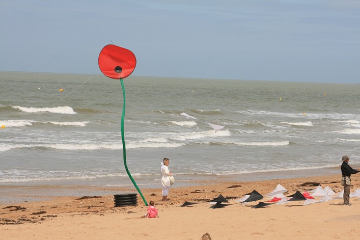 Notre Dame Kite Festival, France, 7-10 July 2011 - 11not08img067.jpg