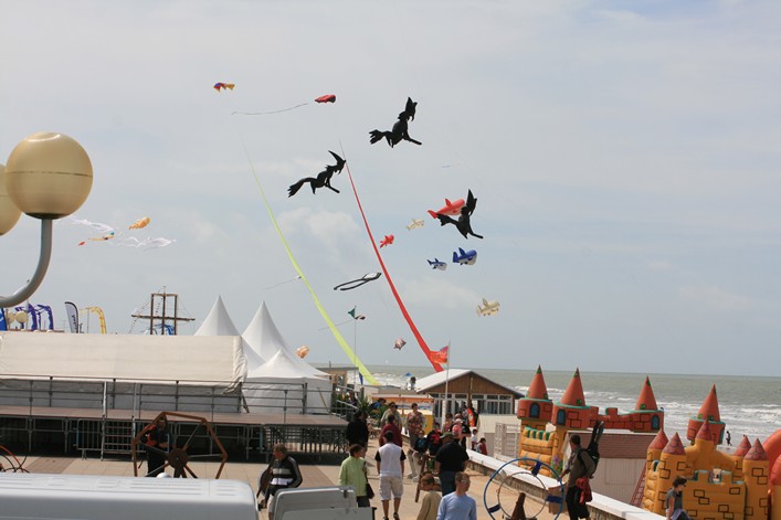 Notre Dame Kite Festival, France, 7-10 July 2011 - 11not08img076.jpg