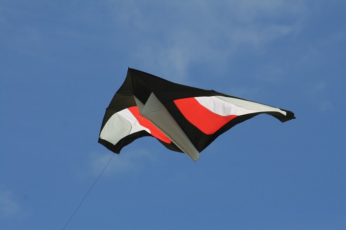 Notre Dame Kite Festival, France, 7-10 July 2011 - 11not08img096.jpg