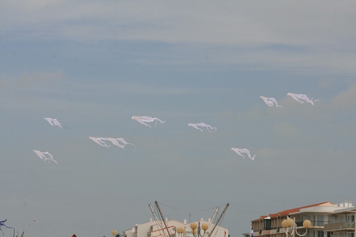 Notre Dame Kite Festival, France, 7-10 July 2011 - 11not08img160.jpg