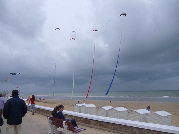 Notre Dame Kite Festival, France, 7-10 July 2011 - 11not08img179.jpg