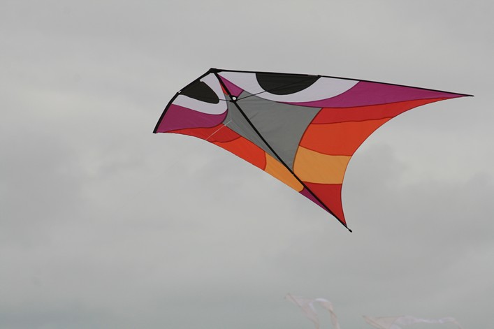 Notre Dame Kite Festival, France, 7-10 July 2011 - 11not09img013.jpg