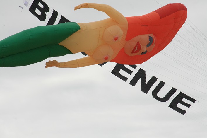 Notre Dame Kite Festival, France, 7-10 July 2011 - 11not09img046.jpg