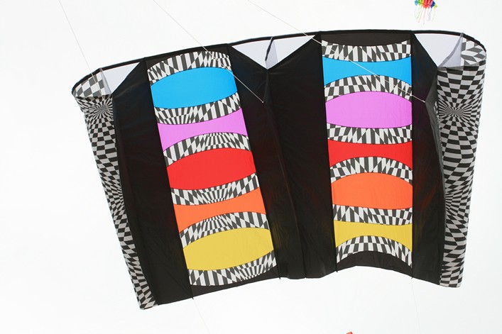 Notre Dame Kite Festival, France, 7-10 July 2011 - 11not09img054.jpg