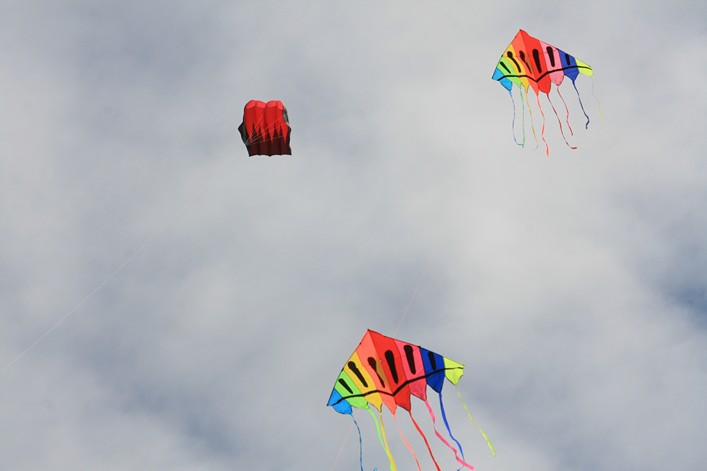 Notre Dame Kite Festival, France, 7-10 July 2011 - 11not09img070.jpg